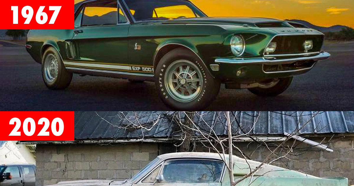Une rare Mustang Shelby GT500 retrouvée 40 ans plus tard